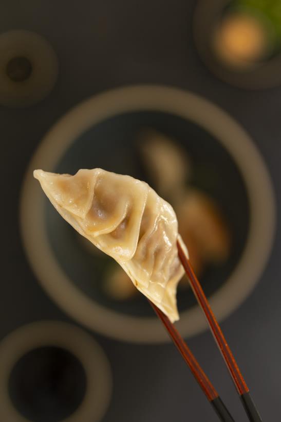 Автентичні японські гьодза