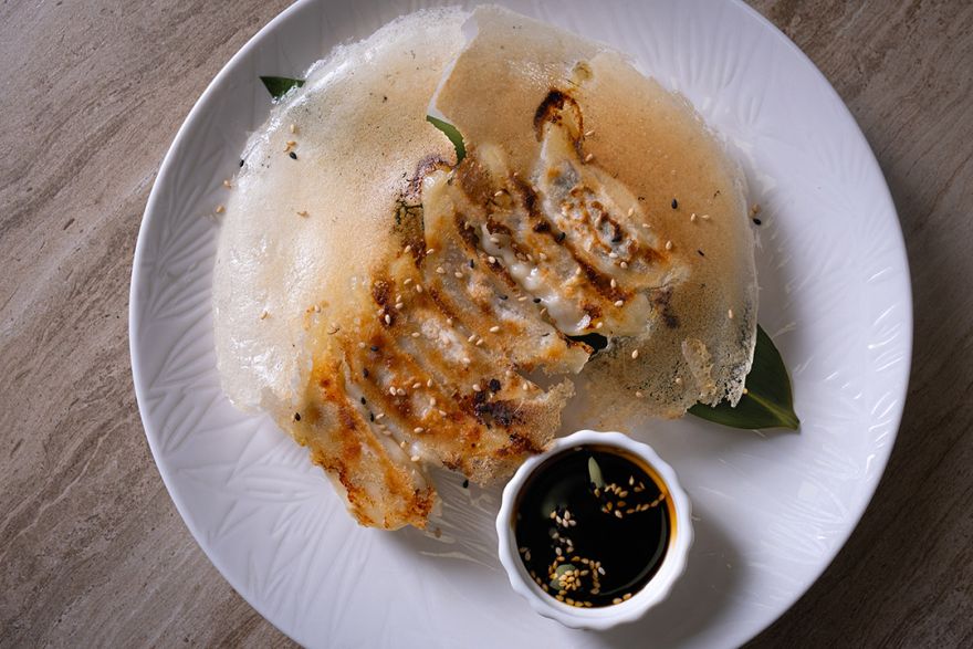 Гьодза зі свининою та овочами